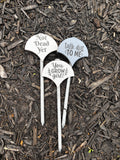 Sassy Plant Signs