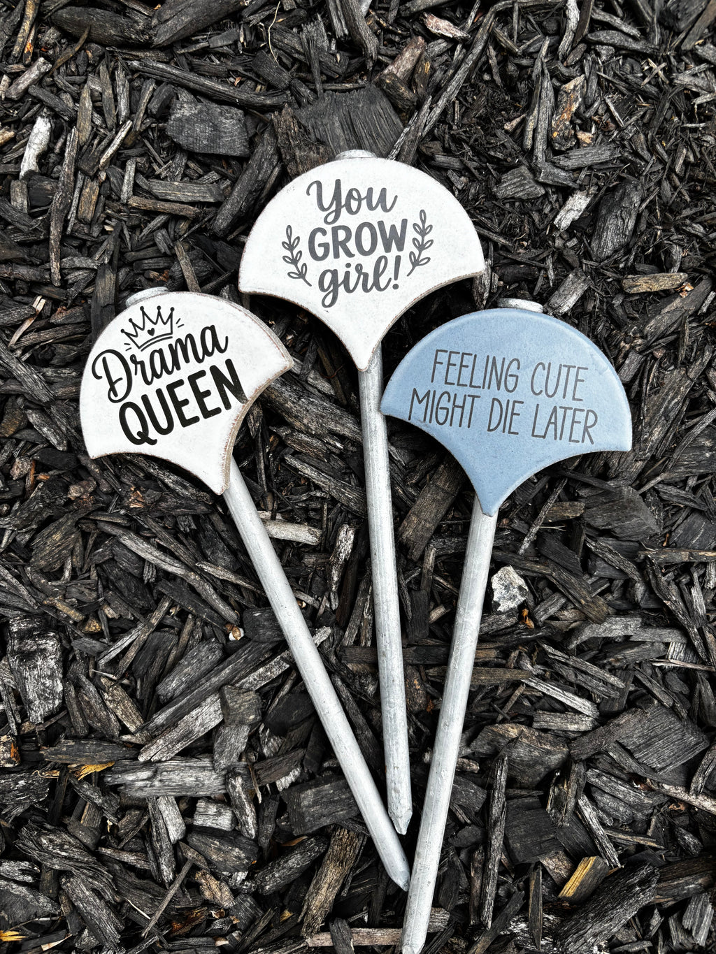 Sassy Plant Signs
