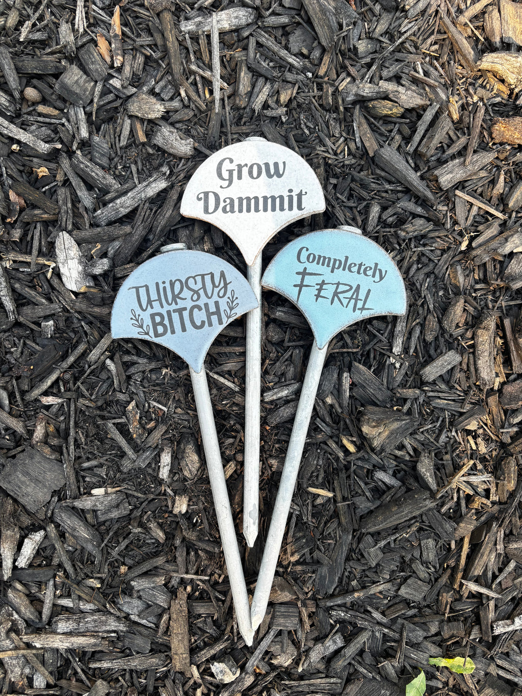 Sassy Plant Signs