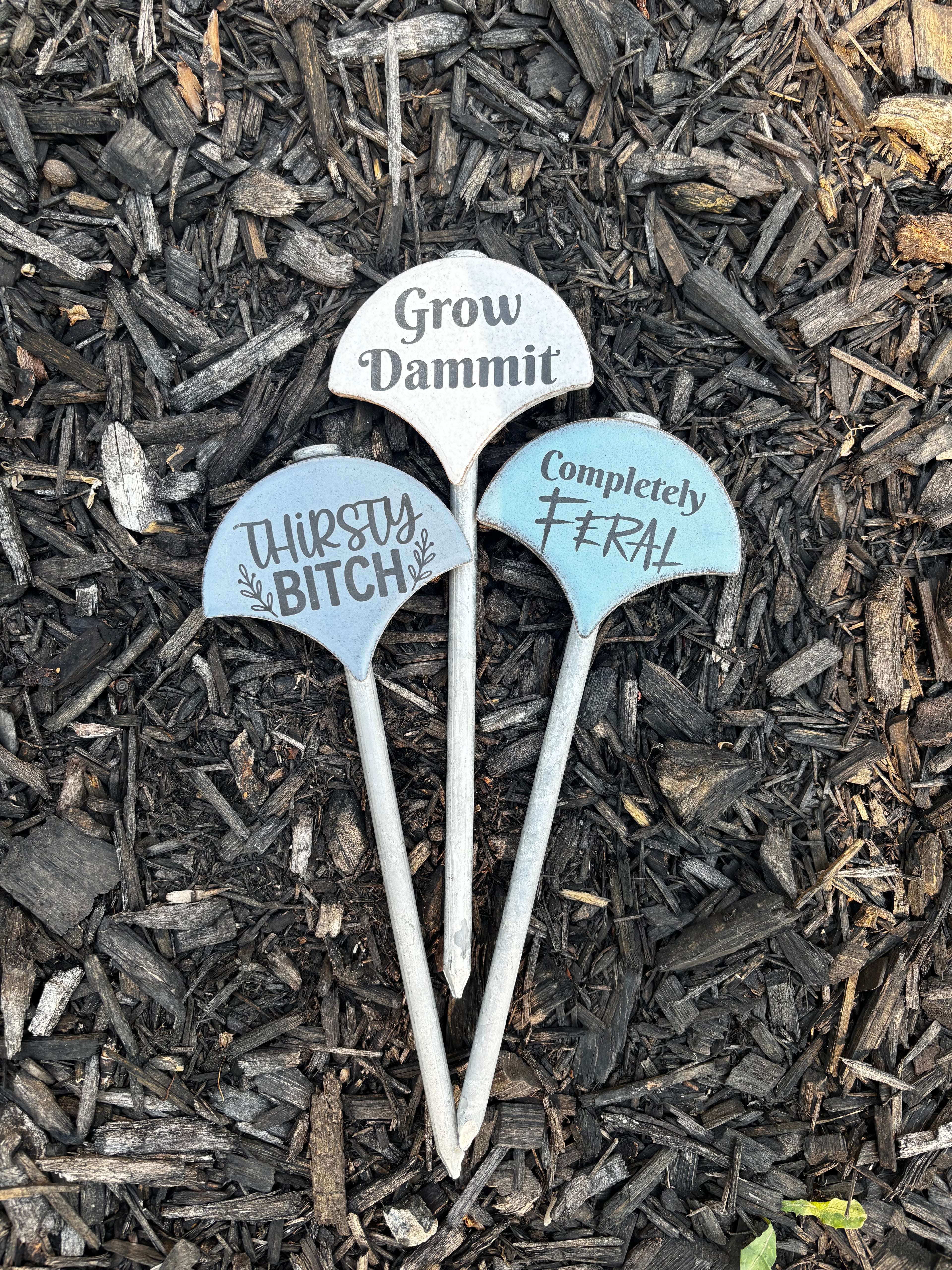 Sassy Plant Signs