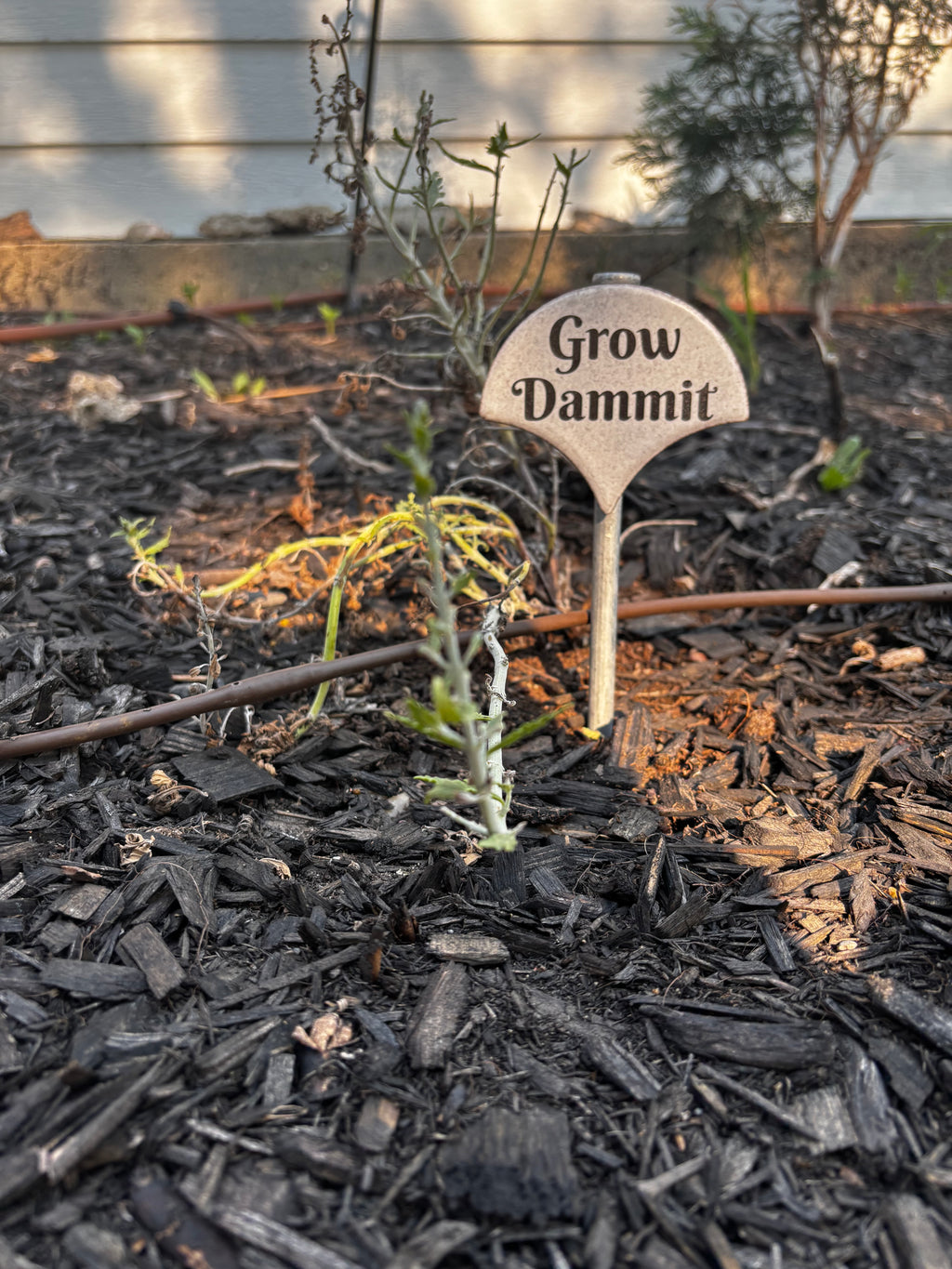 Sassy Plant Signs