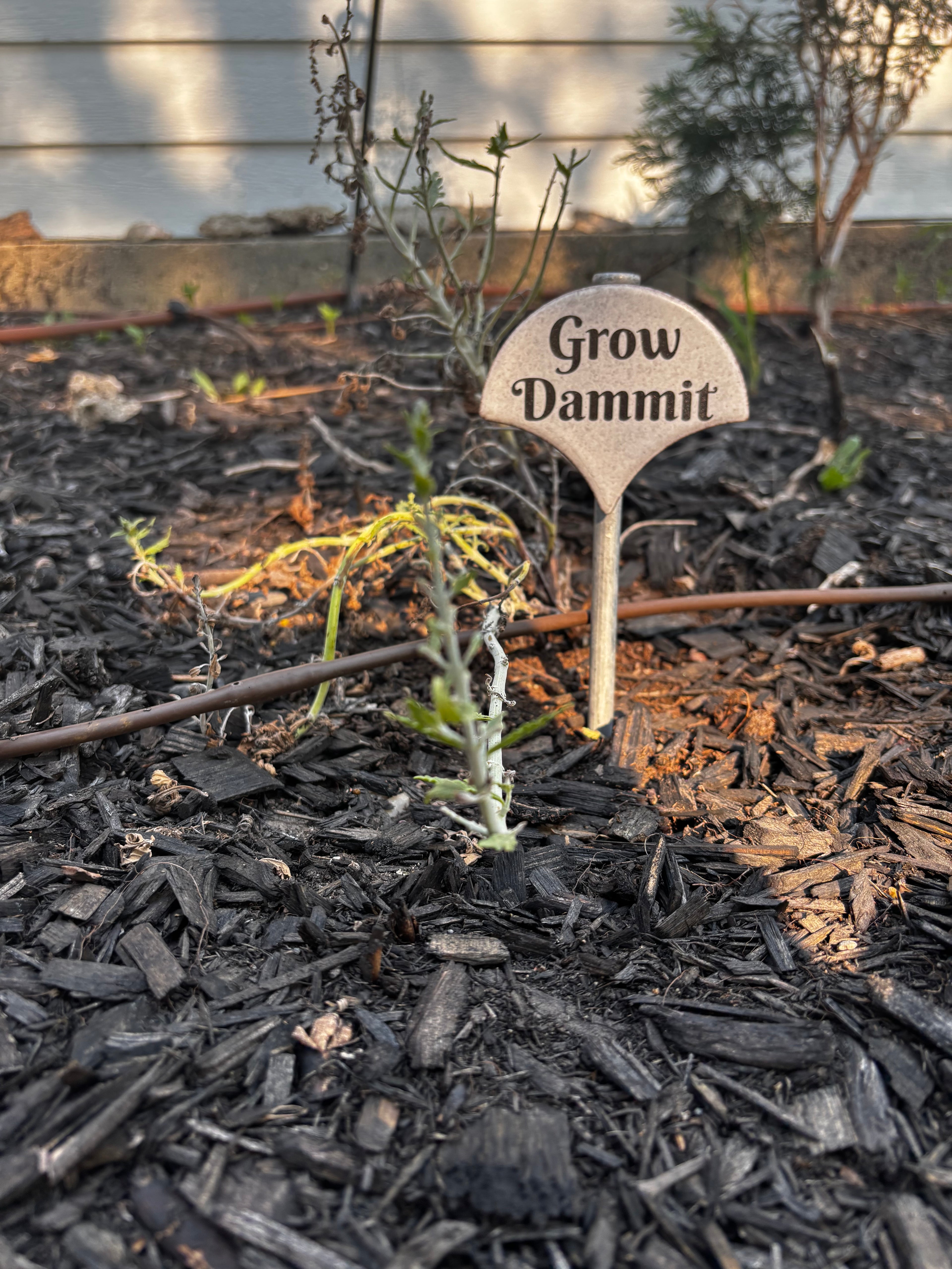 Sassy Plant Signs