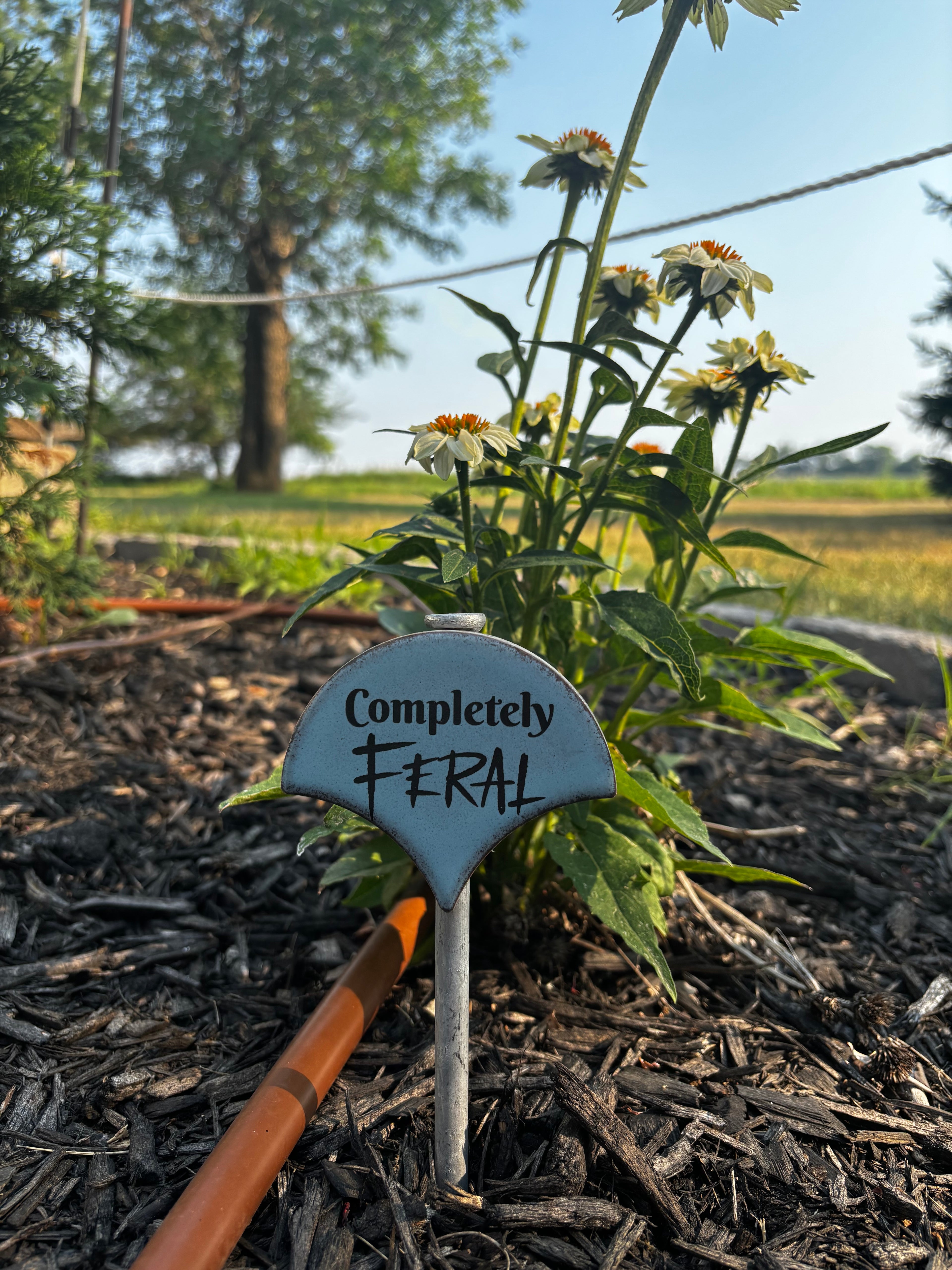 Sassy Plant Signs