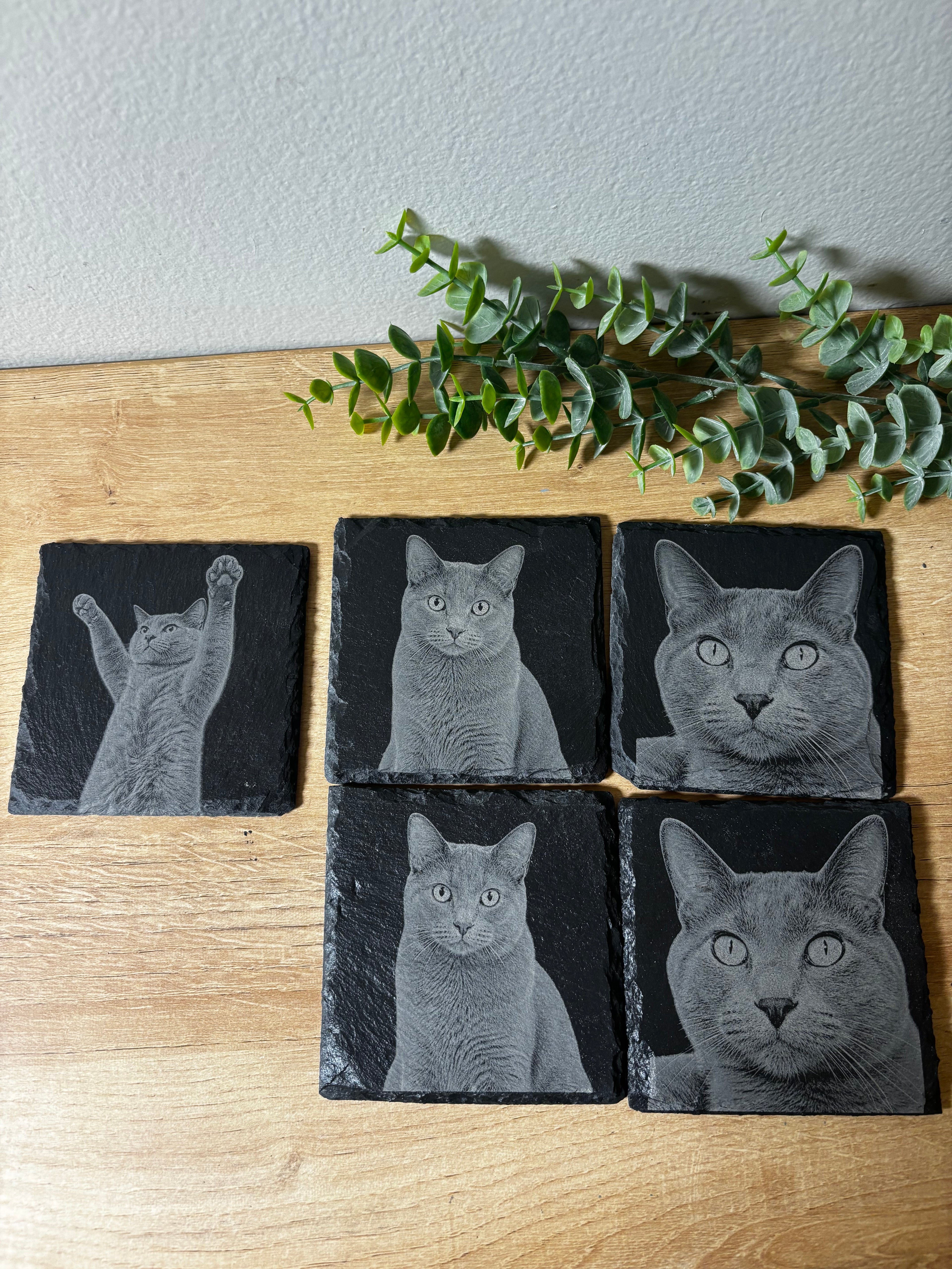 Custom Pet Portrait Slate Coasters | Personalized Laser-Engraved Pet Photo | Sunday Creations