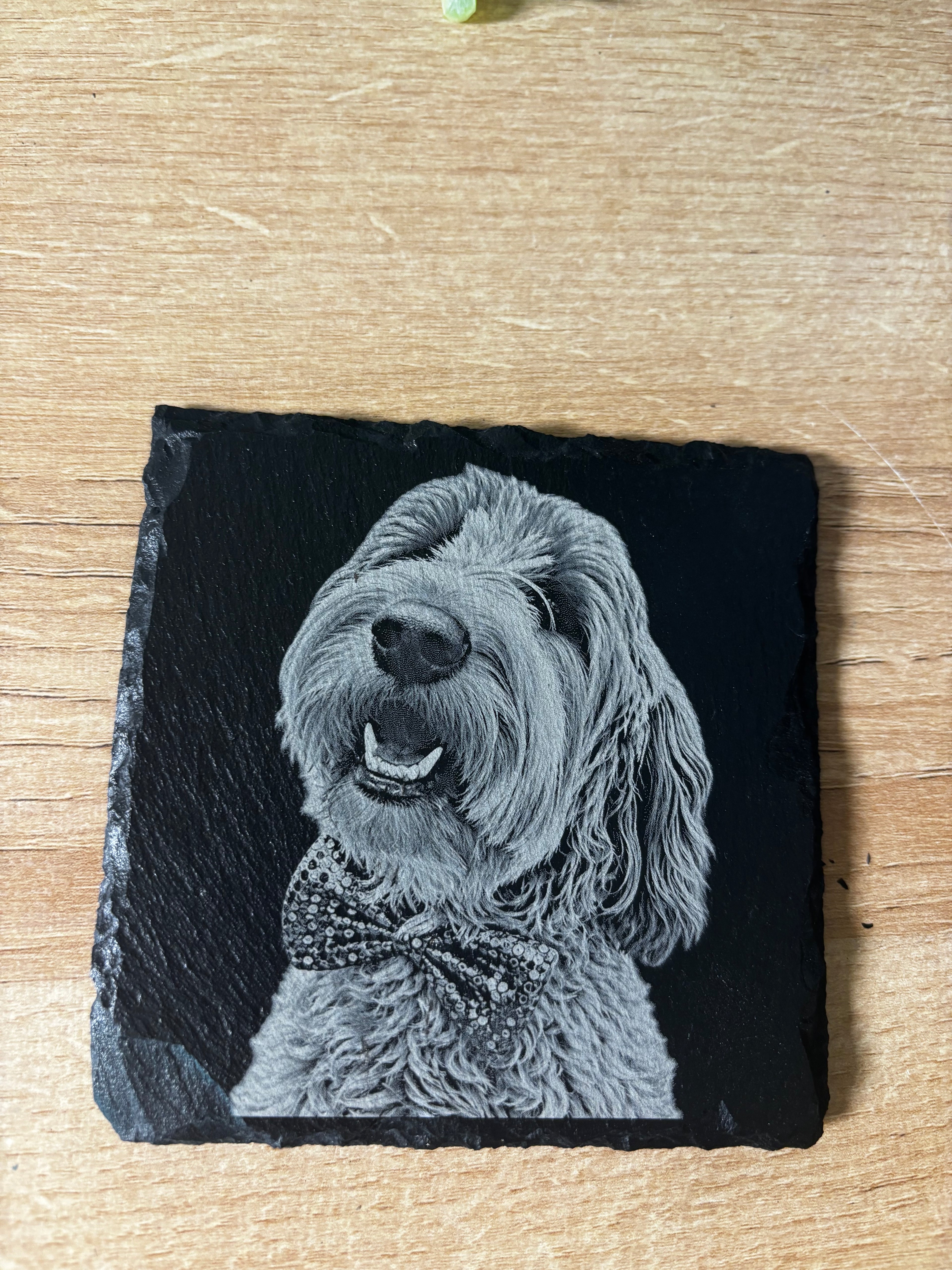 Custom Pet Portrait Slate Coasters | Personalized Laser-Engraved Pet Photo | Sunday Creations