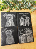 Custom Pet Portraits on Slate