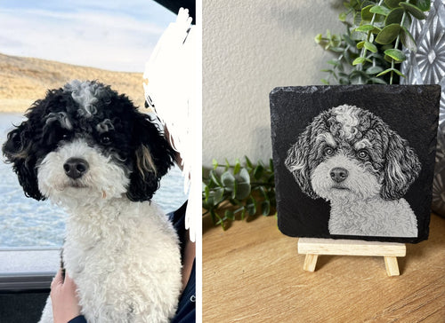 Custom Pet Portraits on Slate